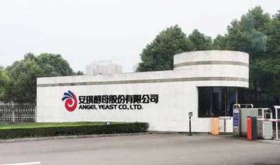 安琪酵母 以生物技術(shù)創(chuàng)新引領(lǐng)健康生活新時(shí)代